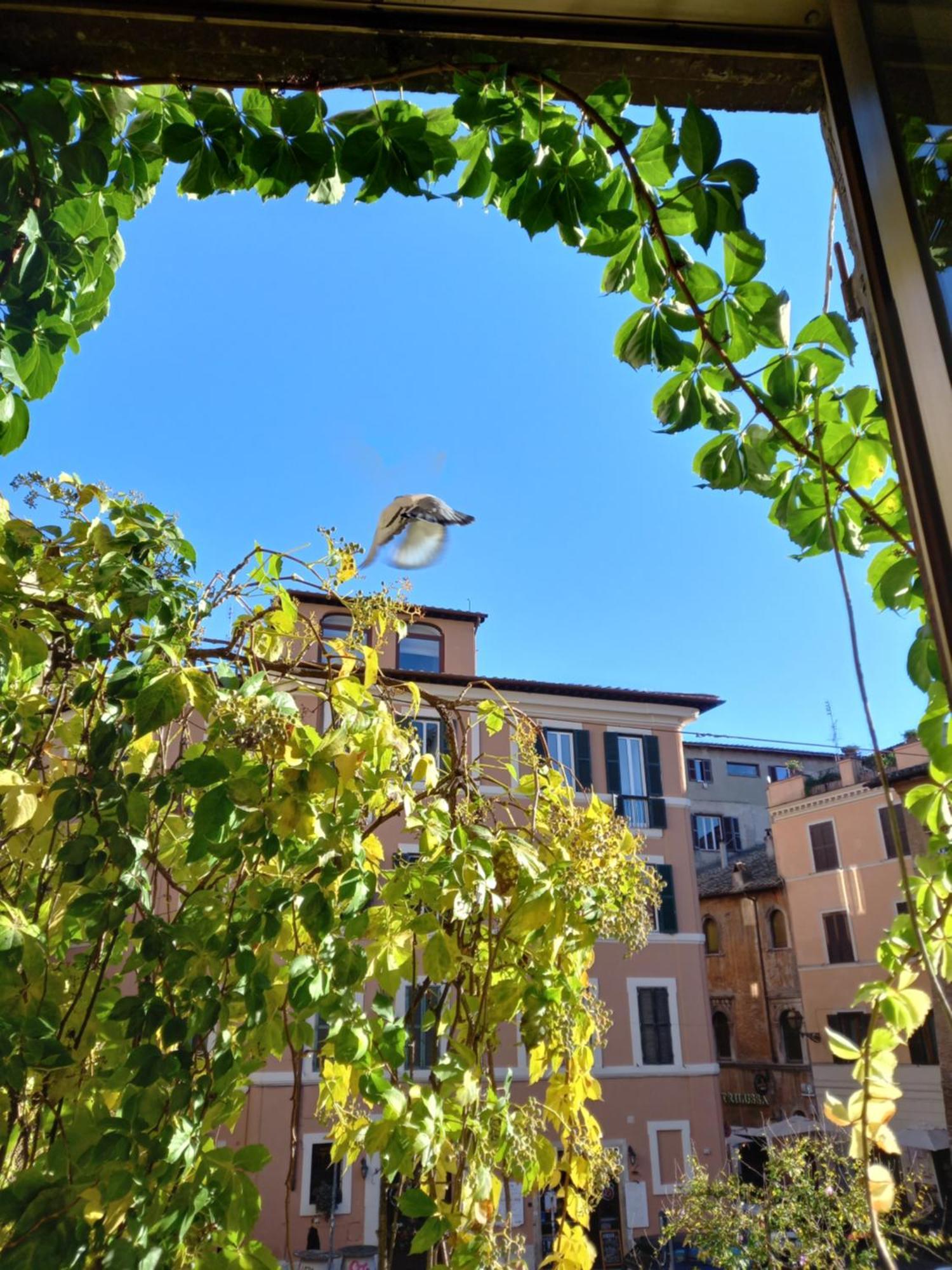 In Trastevere Appartement Rome